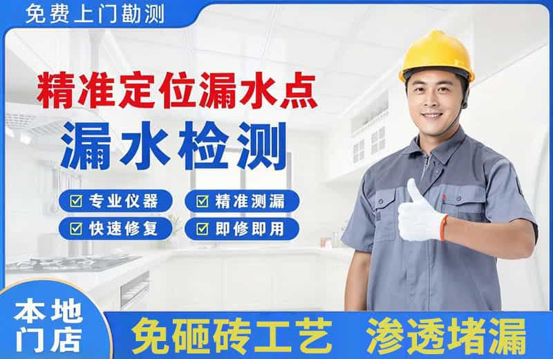 黄瓜岛精准测漏点